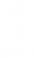 quixote