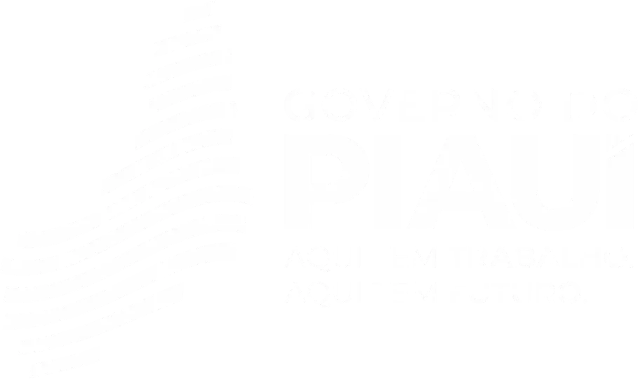 Governo do Piauí